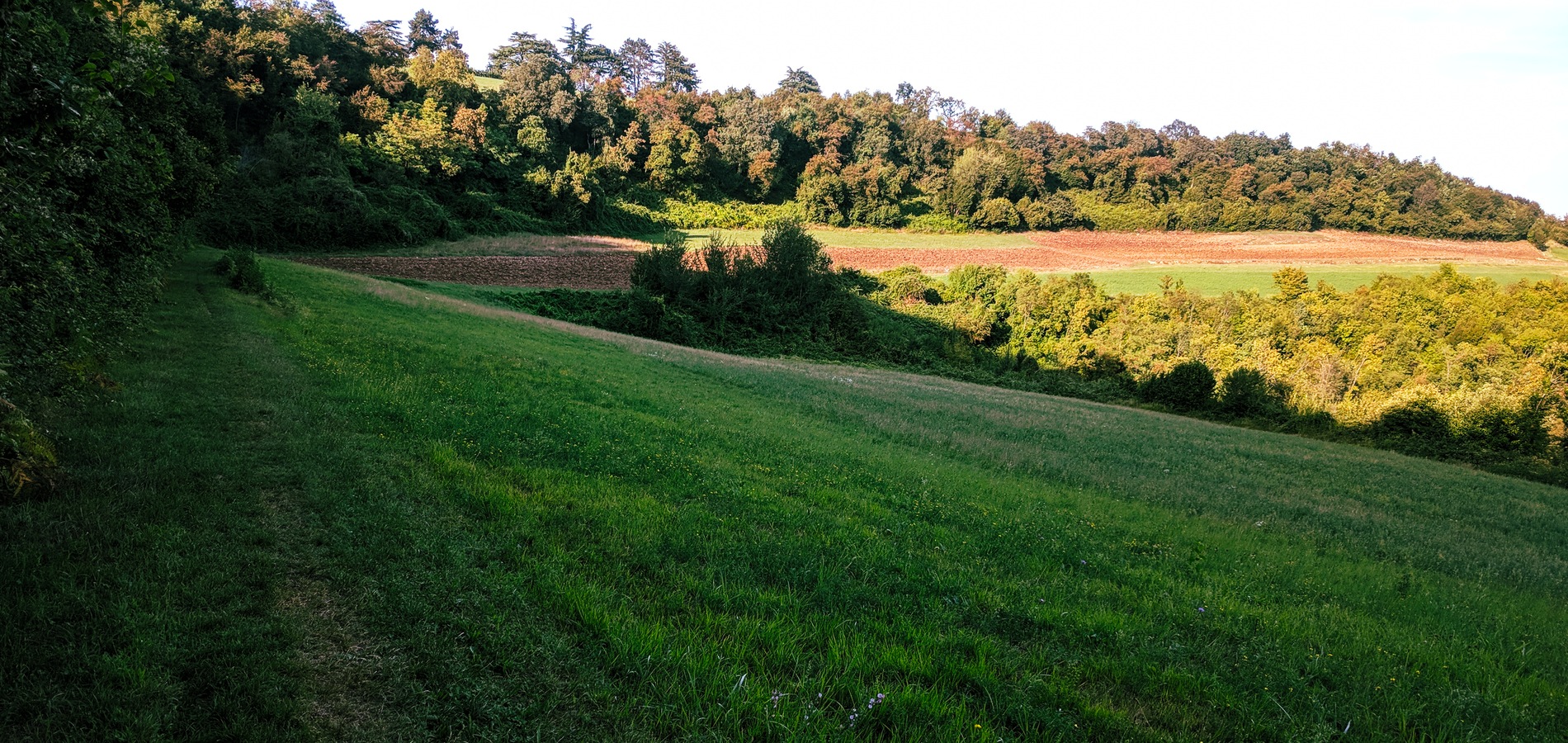 foto inizio sentiero sul prato che porta al trodo dell'orco