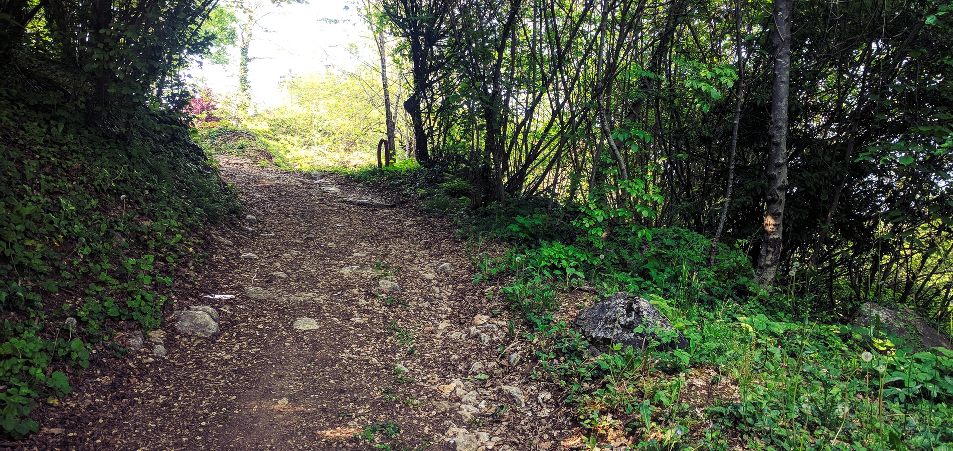 foto Strada delle Grancare 2