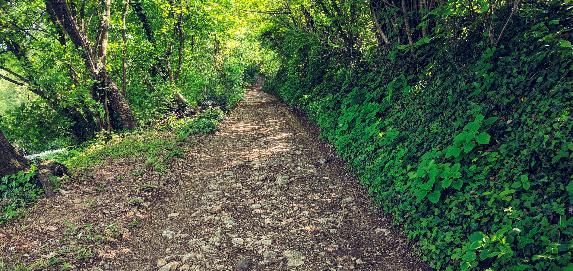 foto Strada delle Grancare, inizio sterrato