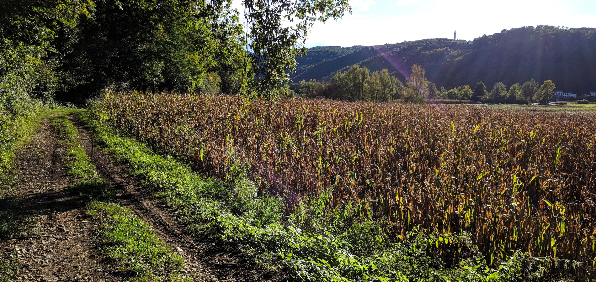 foto sentiero a fianco a campo