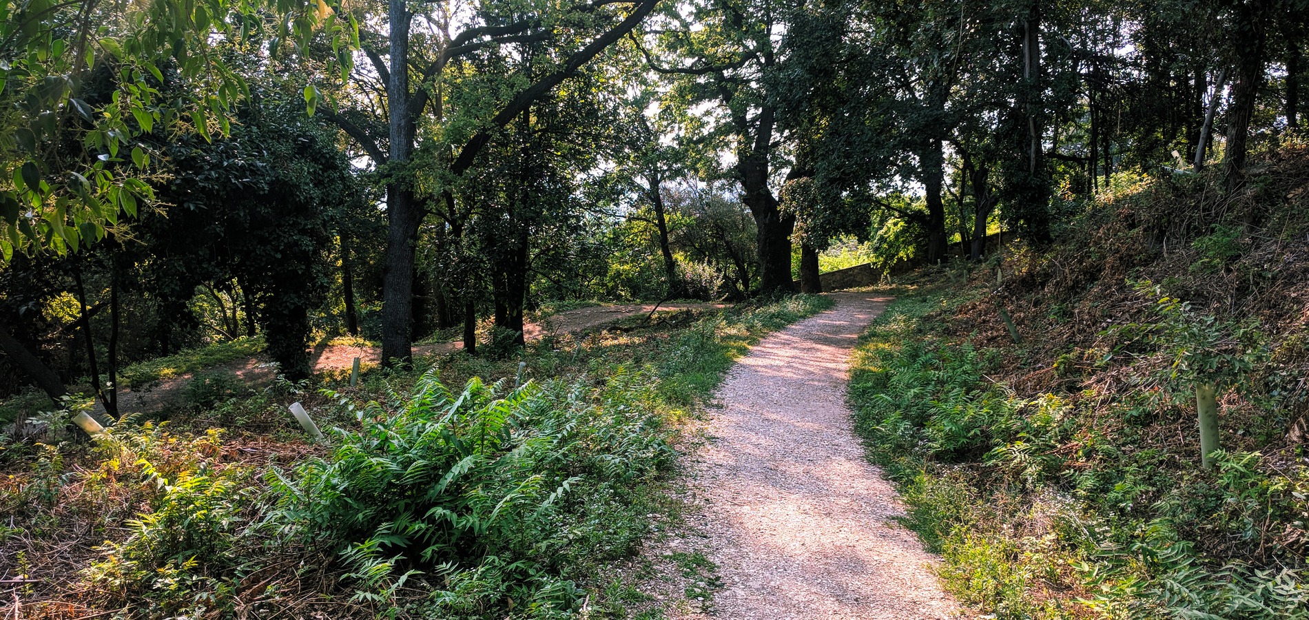 foto all'interno del Parco Bedin Aldighieri