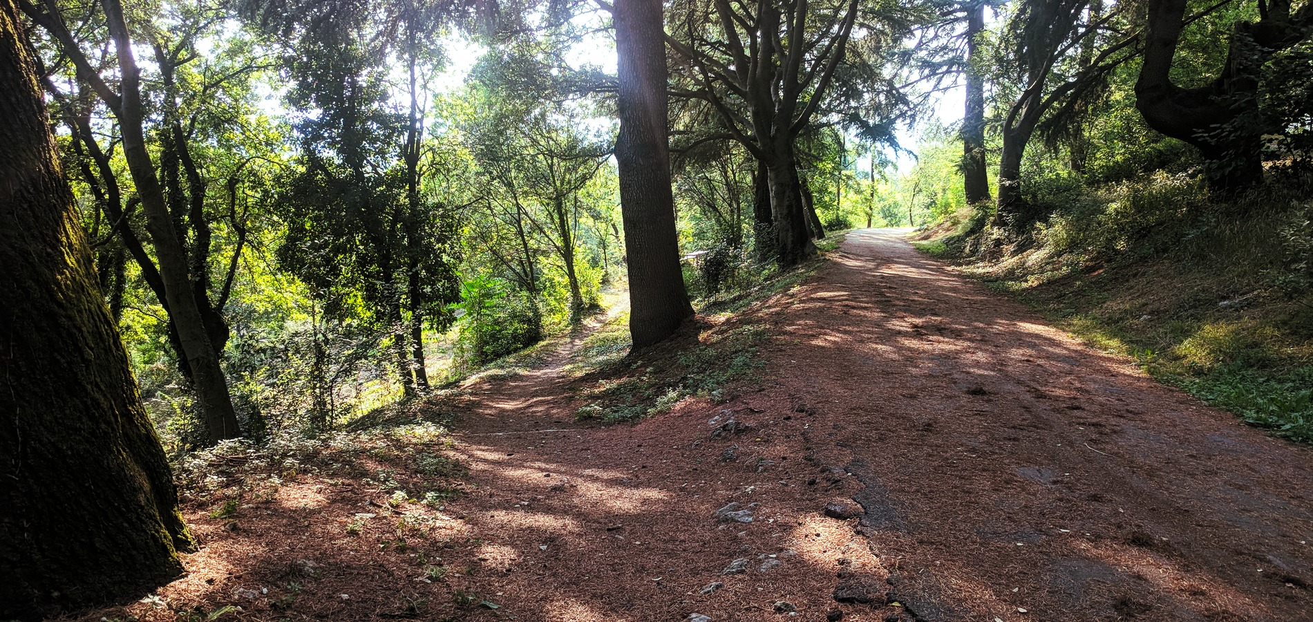 foto all'interno del Parco Bedin Aldighieri