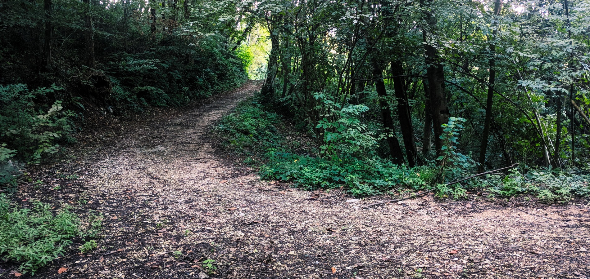 foto sentiero da Santa Tecla a Via San Rocco