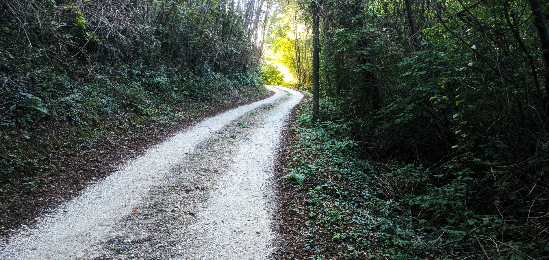 foto sentiero da Santa Tecla a Via San Rocco 2