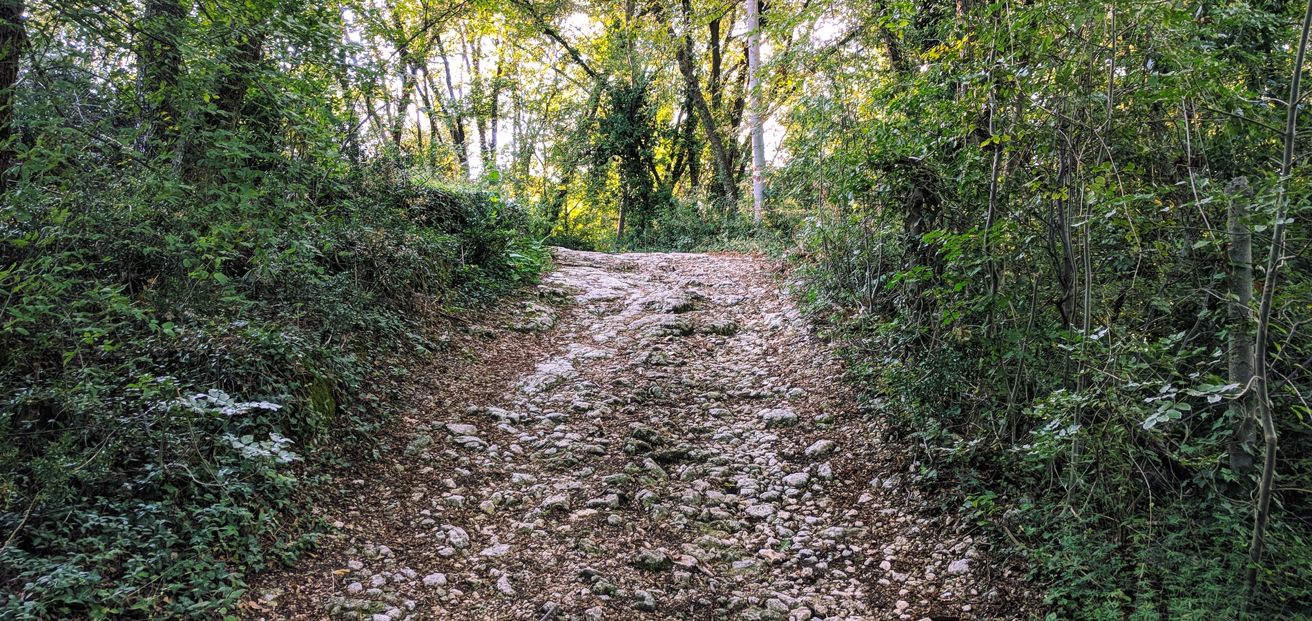 foto sentiero San Rocco