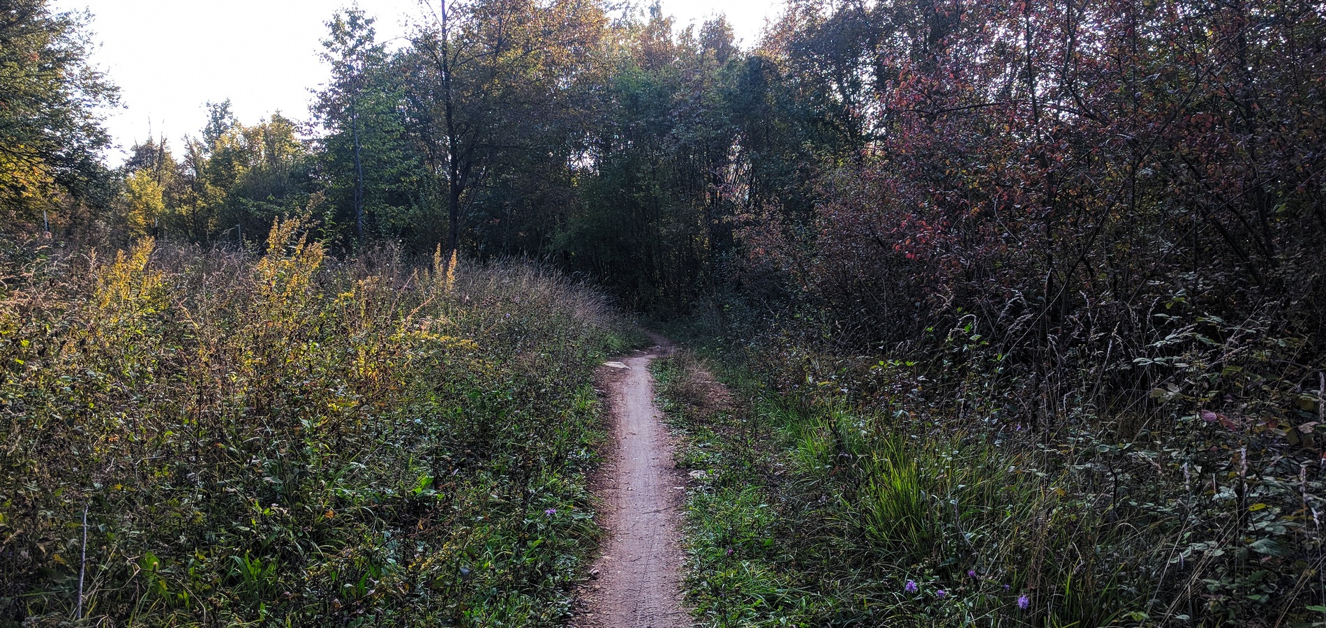 foto sentiero Monte dell'Asino