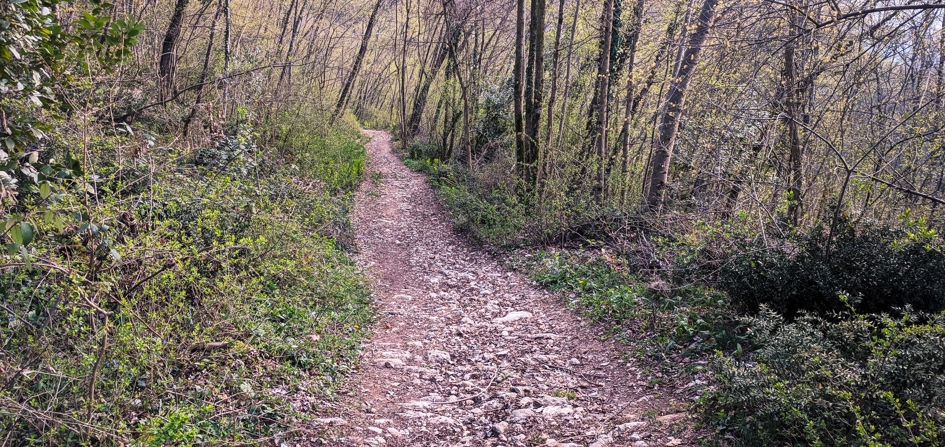 foto sentiero da San Rocco discesa verso Grancare Alte